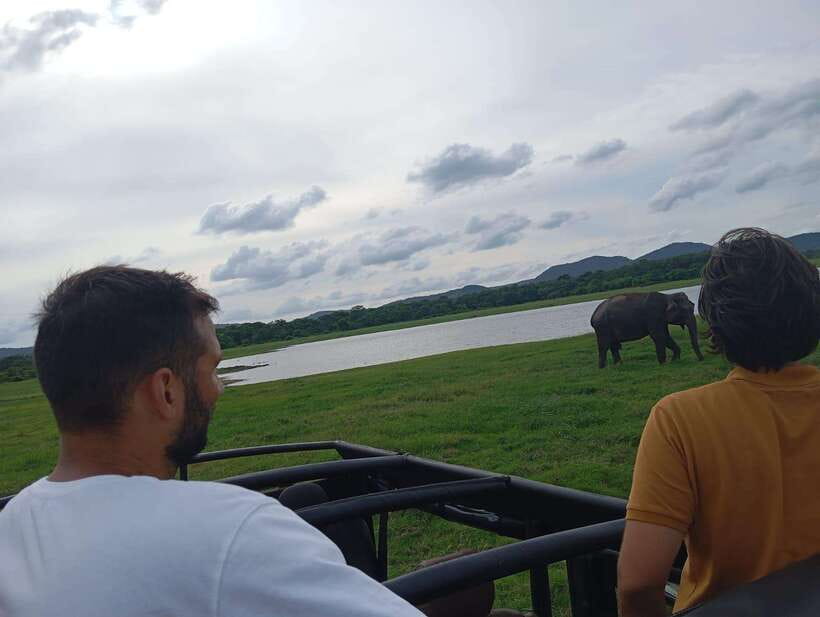 From Sigiriya: Minneriya National Park Half-Day Jeep Safari - How the experience handles flexibility