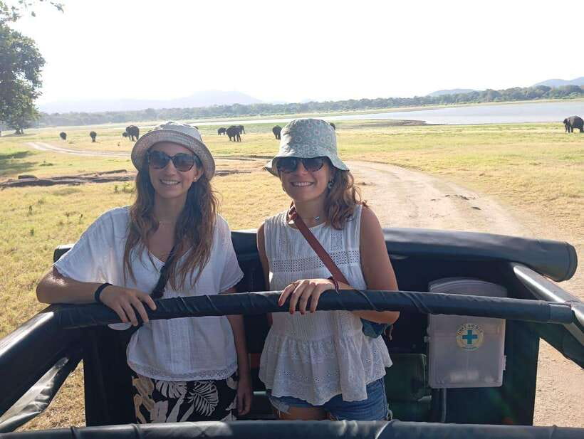 From Sigiriya: Minneriya National Park Half-Day Jeep Safari - From your hotel to the park gates