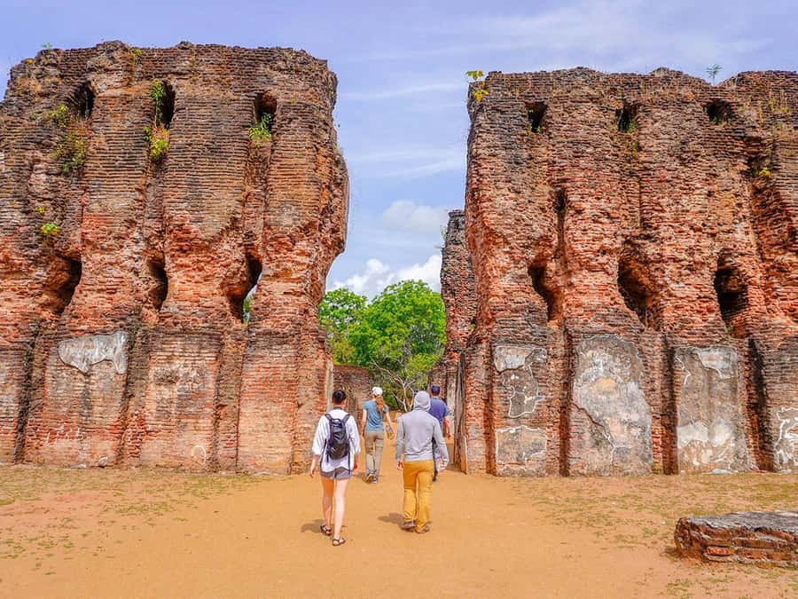 From Sigiriya: Minneriya National Park Half Day Safari - Booking advice and cancellation