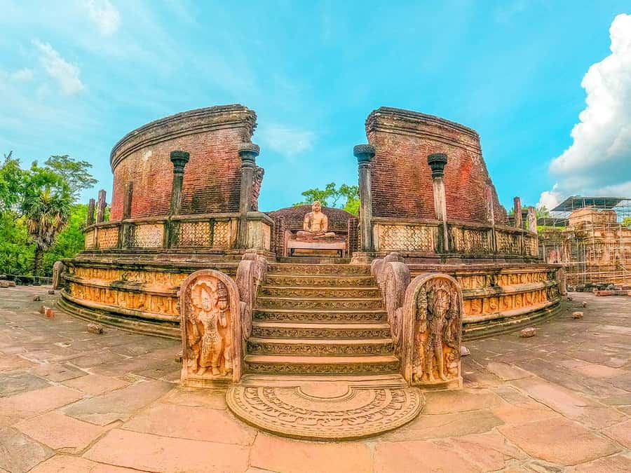 From Sigiriya: Minneriya National Park Half Day Safari - Why Minneriya’s elephant gathering matters