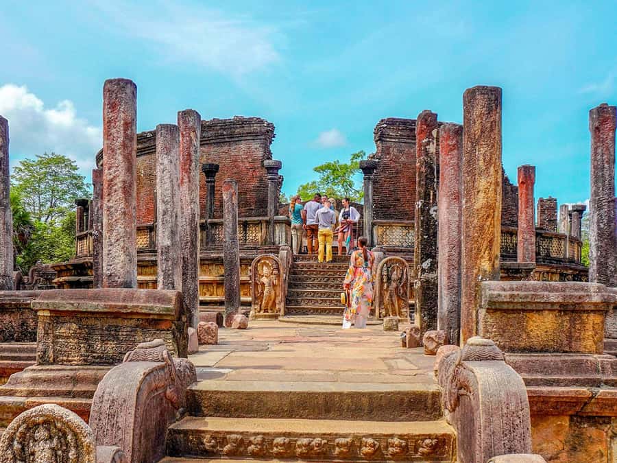 From Sigiriya: Minneriya National Park Half Day Safari - Three hours among elephants, birds, and crocodiles