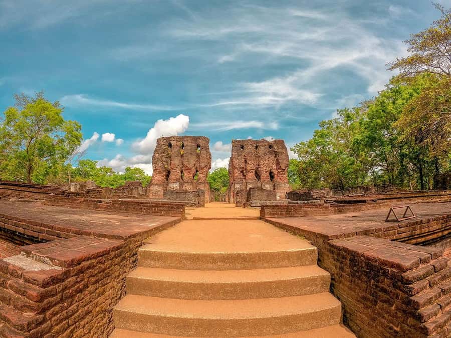 From Sigiriya: Minneriya National Park Half Day Safari - What the guides add to the outing