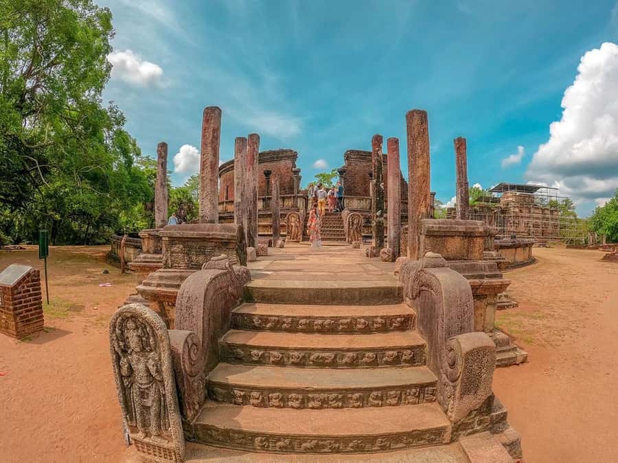 From Sigiriya: Minneriya National Park Half Day Safari - From your hotel to the park entrance