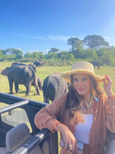 From Sigiriya: Minneriya National Park Private Jeep Safari - Key points to know before booking