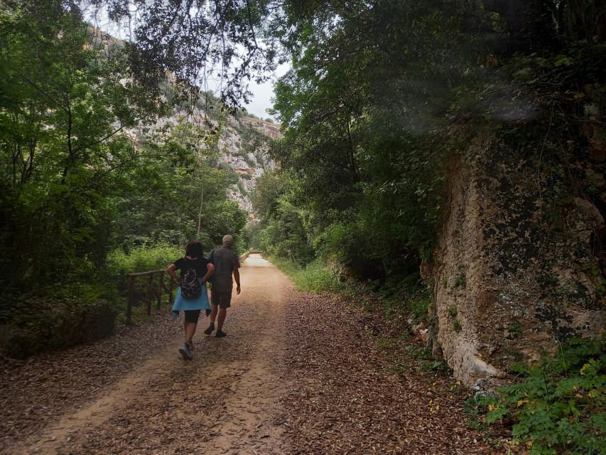 From Siracusa: Pantalica Nature Reserve Guided Hiking Tour - What the small group changes
