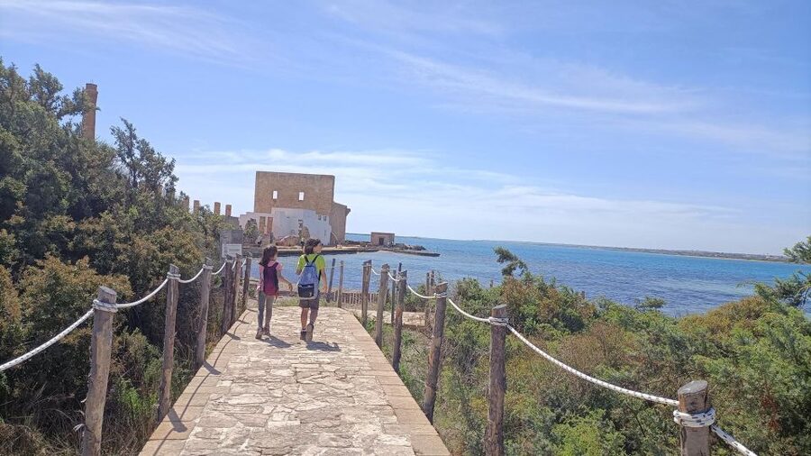 From Siracusa: Vendicari Nature Reserve Guided Tour - Key points to know before you book