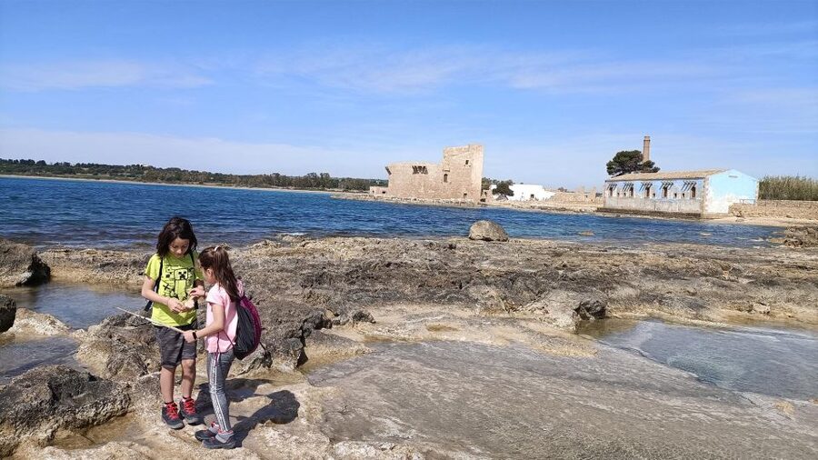 From Siracusa: Vendicari Nature Reserve Guided Tour - Birdwatching with a proper spotting scope