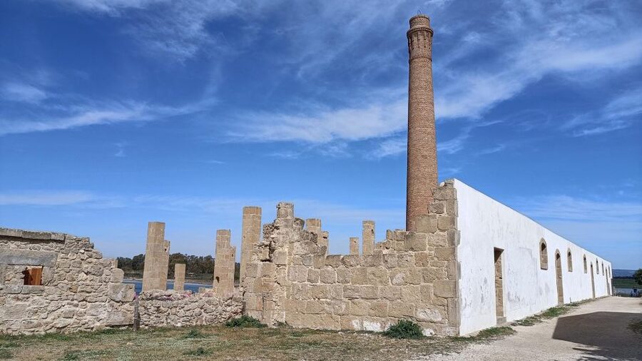 From Siracusa: Vendicari Nature Reserve Guided Tour - Who will enjoy this Vendicari tour most?