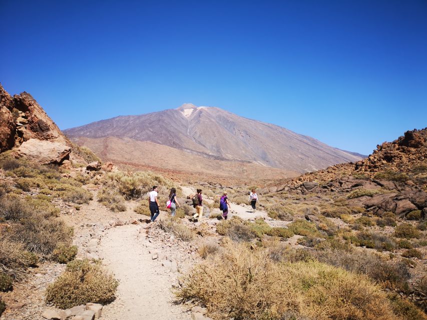 From South Tenerife: Teide National Park Tour - Pickup from Tenerife’s southern resorts