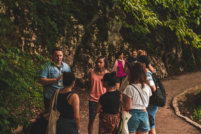 From Split: Plitvice Lakes National Park Guided Tour - The early coach ride from Split or Trogir