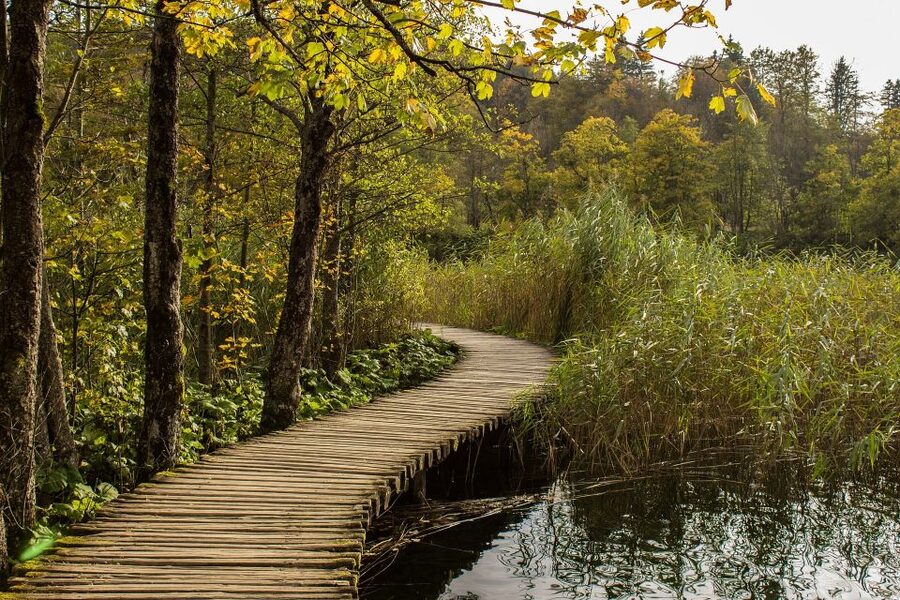 From Split: Private Tour to Plitvice Lakes National Park - The electric boat adds a welcome change of pace