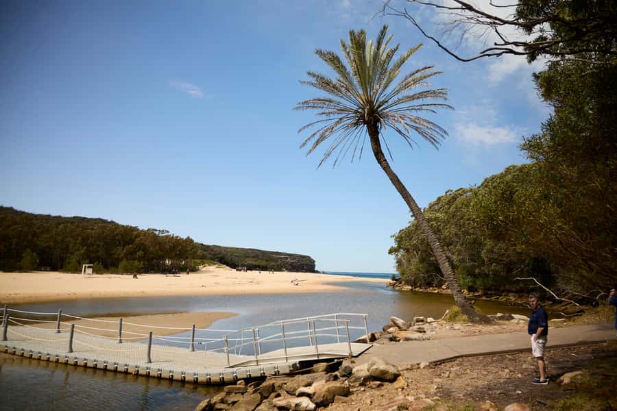 From Sydney: Royal National Park Private Tour - Bungoona Lookout and the Royal National Park coast