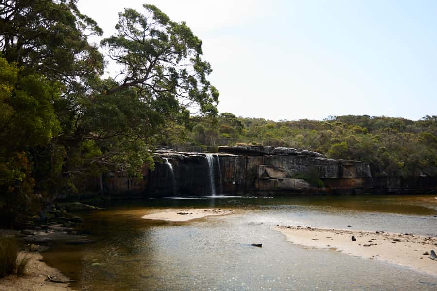 From Sydney: Royal National Park Private Tour - Who should book this Royal National Park day?