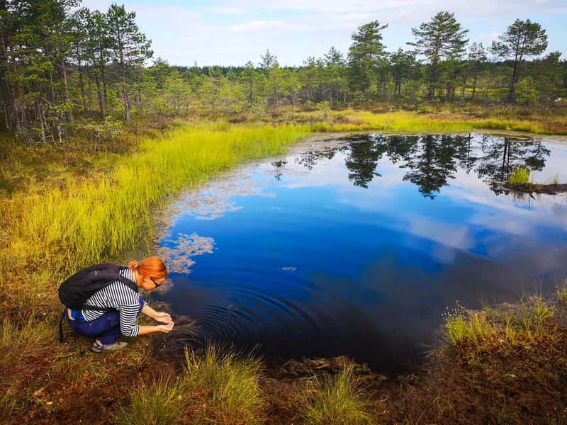 From Tallinn: Day Trip to Lahemaa National Park - Viru bog is the day’s real highlight