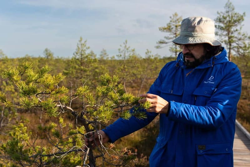 From Tallinn: Day Trip to Lahemaa National Park - Sagadi Manor adds a human story