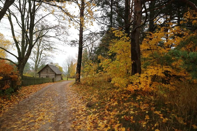 From Tallinn: Day Trip to Lahemaa National Park - The small van and guide shape the experience