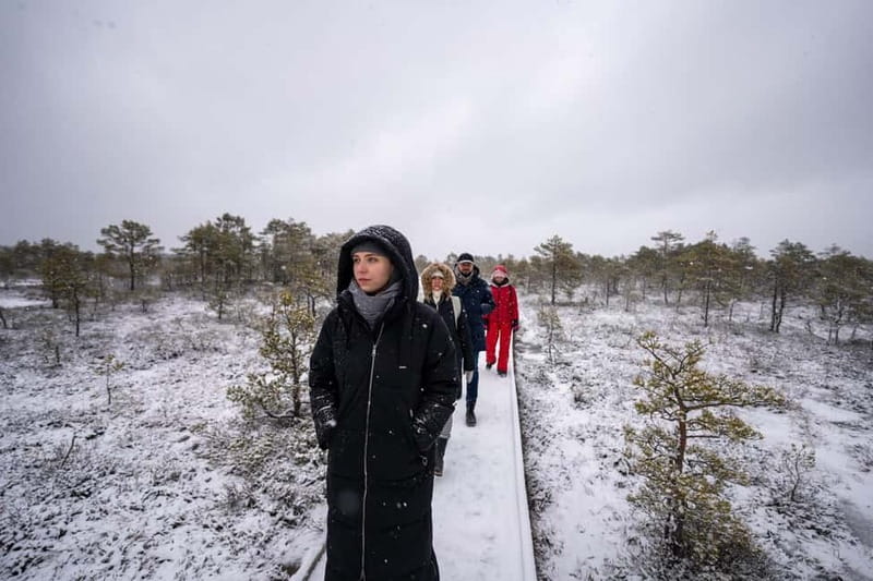 From Tallinn: Day Trip to Lahemaa National Park - Is $140 good value?