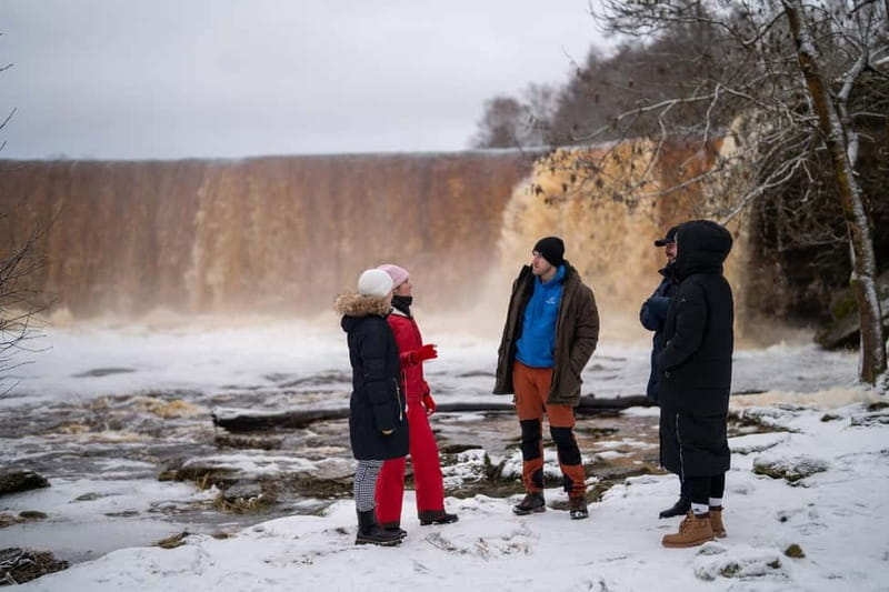 From Tallinn: Day Trip to Lahemaa National Park - Who should book this day trip?