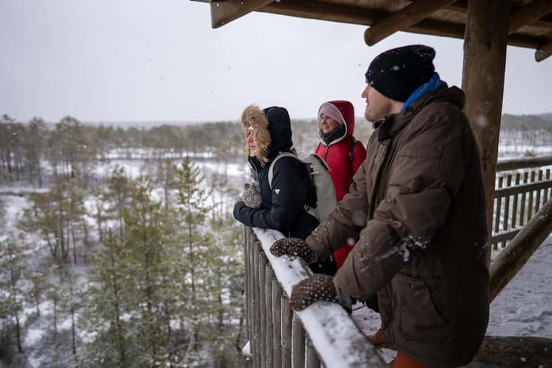 From Tallinn: Day Trip to Lahemaa National Park - Jägala waterfall starts the day with a splash