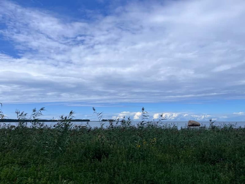 From Tallinn: Lahemaa National Park Day Trip - Why Lahemaa makes a smart day trip from Tallinn
