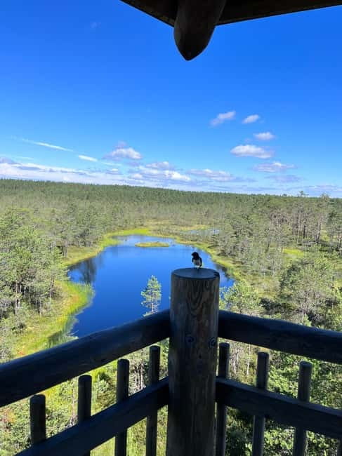 From Tallinn: Lahemaa National Park Day Trip - Guide quality and the small-group experience