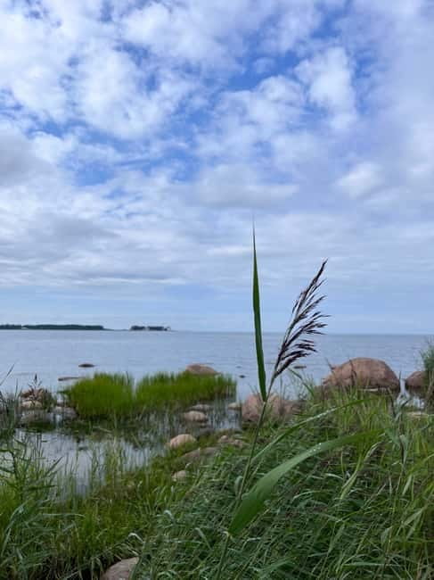 From Tallinn: Lahemaa National Park Day Trip - From Rebala burial site to Jägala Waterfall
