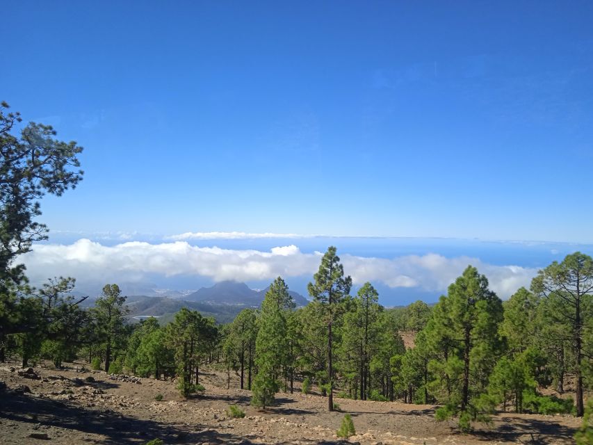 From Tenerife: Teide National Park Guided Day Trip by Bus - From resort coast to volcanic high country