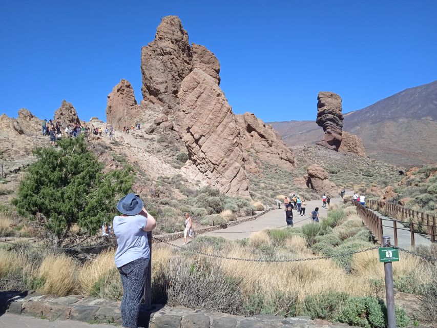 From Tenerife: Teide National Park Guided Day Trip by Bus - Why the $39 price can work well