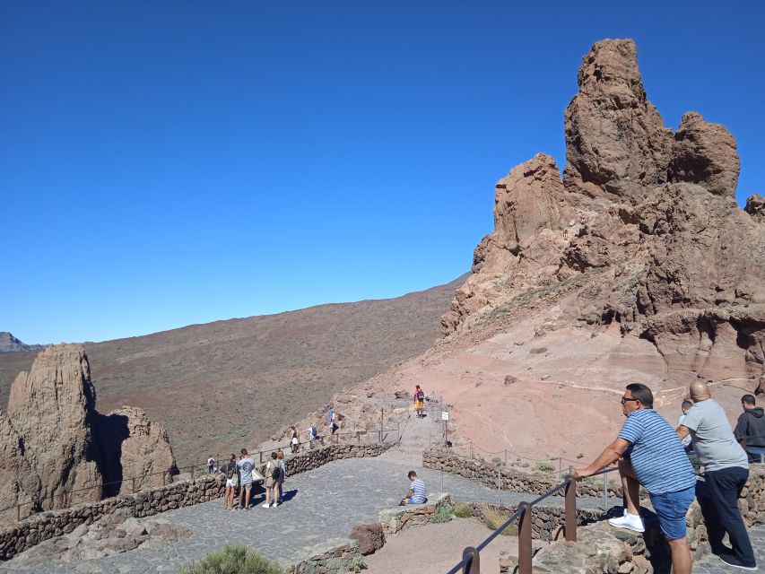 From Tenerife: Teide National Park Guided Day Trip by Bus - Who will get the most from this excursion