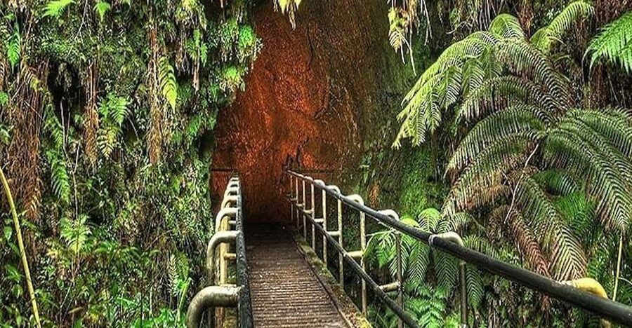 From the Big Island: Hawaii Volcanoes National Park Tour - Thurston lava tube: the most memorable physical stop
