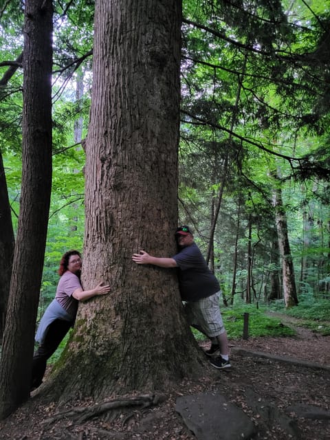 From Townsend: Great Smoky Mountains National Park Hiking - A quiet start from Townsend