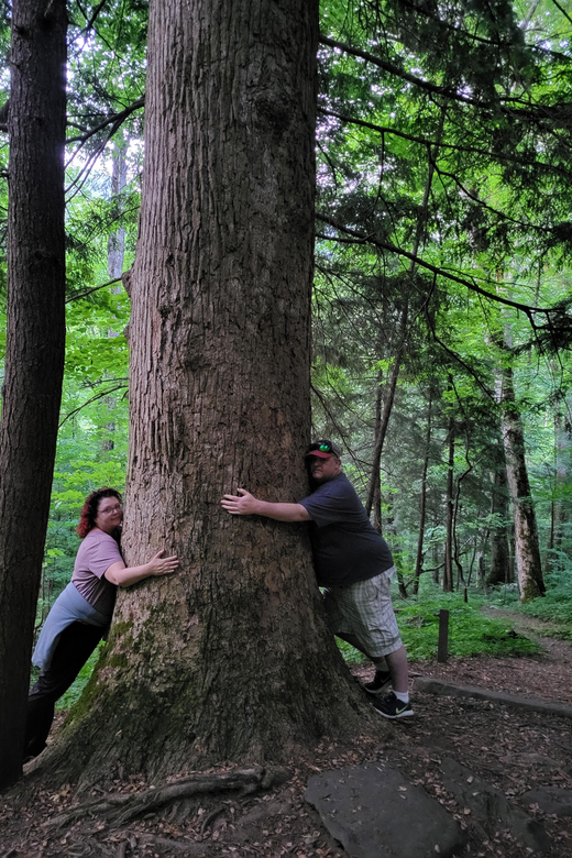 From Townsend: Great Smoky Mountains National Park Hiking - Is $79 a fair price?