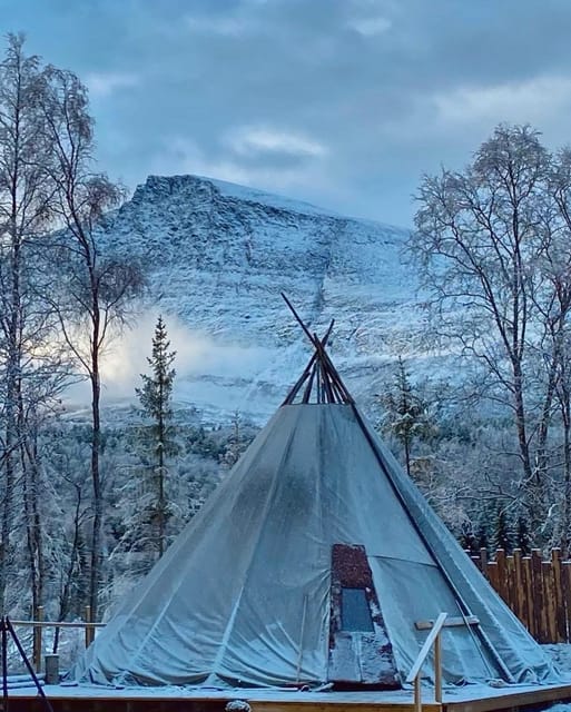 From Tromso: Arctic Wilderness Snowmobile Daytime Tour - Why the Lyngen Alps make this snowmobile day special