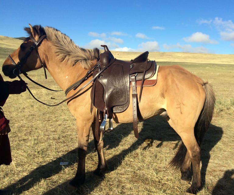 From Ulaanbaatar: Day Trip to Hustai National Park - Key points to know before booking
