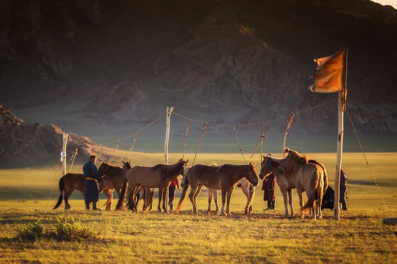 From Ulaanbaatar: Day Trip to Hustai National Park - Hiking, views, and time in the park