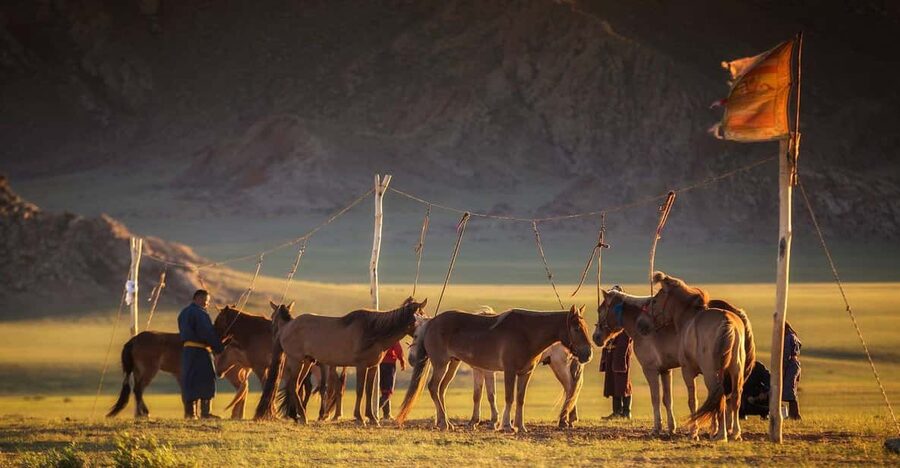 From Ulaanbaatar: Day Trip to Hustai National Park - Lunch and a taste of nomadic life
