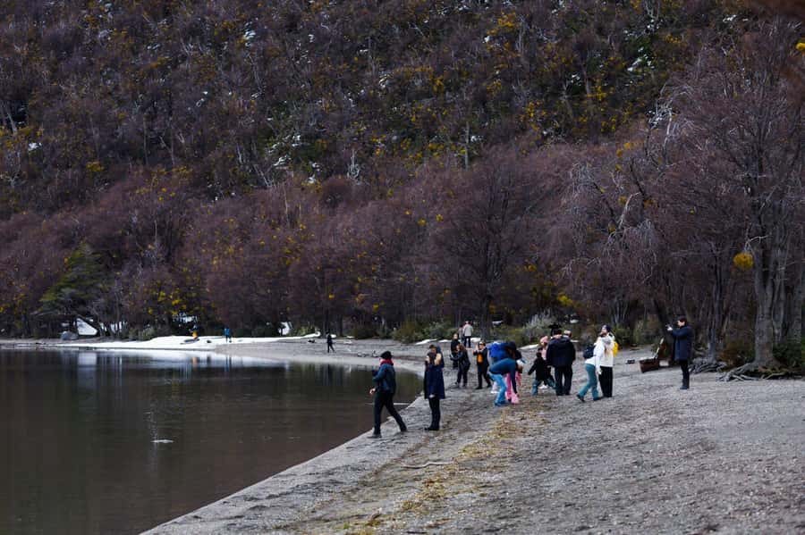 From Ushuaia: Discover Tierra del Fuego National Park - Why Tierra del Fuego National Park is worth your morning