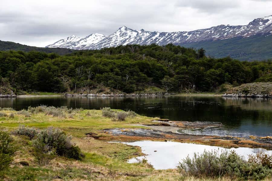 From Ushuaia: Discover Tierra del Fuego National Park - Should you book the Tierra del Fuego National Park tour?
