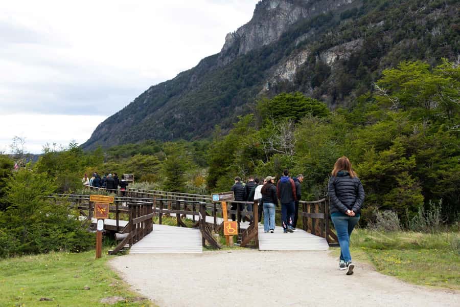 From Ushuaia: Discover Tierra del Fuego National Park - Wildlife along the route