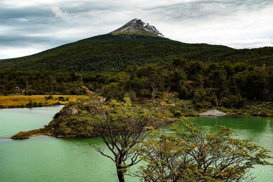 From Ushuaia: Discover Tierra del Fuego National Park - How the $72 price works in practice