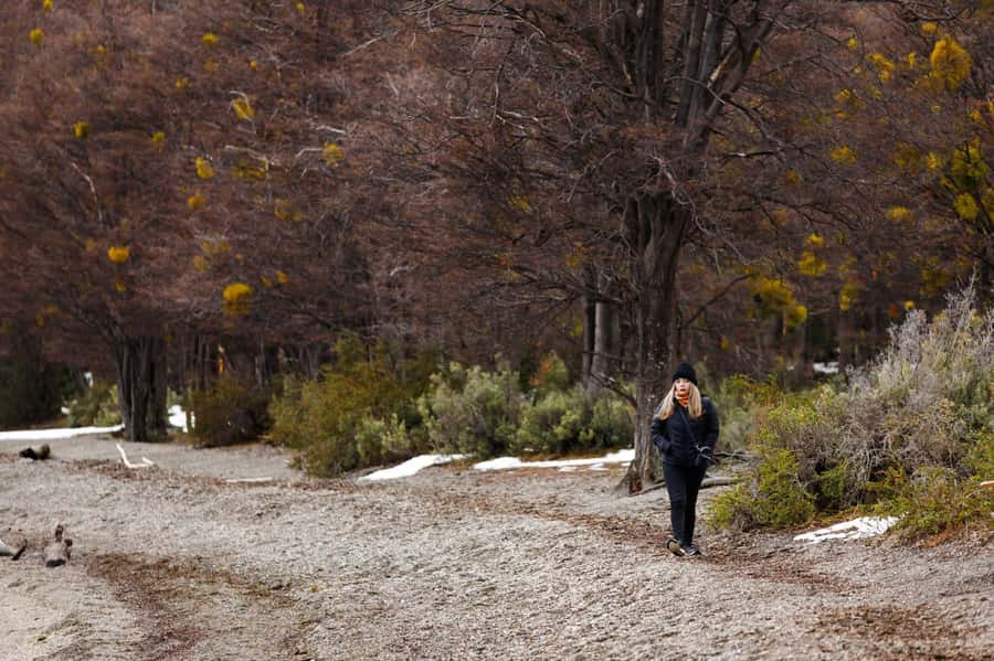 From Ushuaia: Discover Tierra del Fuego National Park - Who should book this park outing