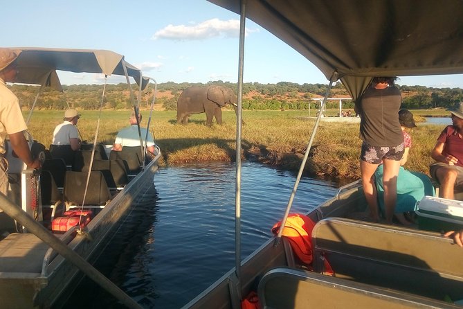 From Victoria Falls: Chobe National Park Small Group Tour - Guides, vehicles, and the group size