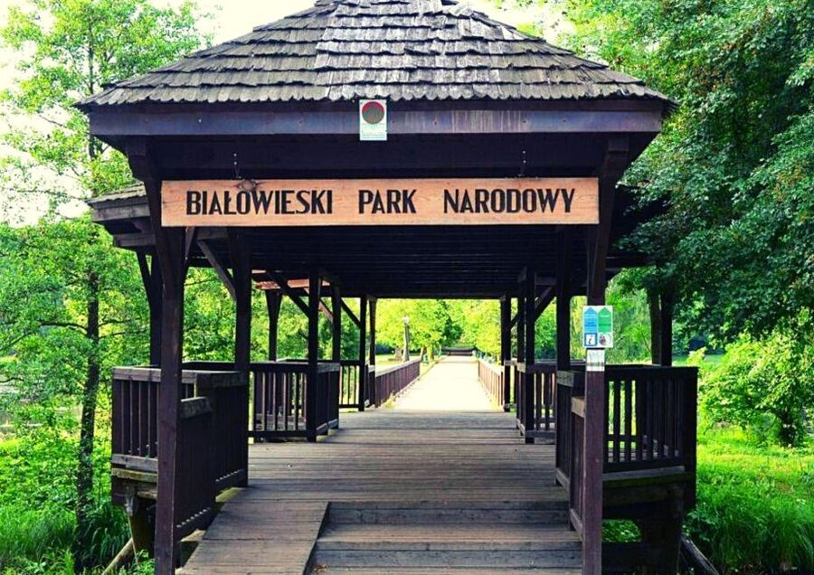 From Warsaw: Small-Group Tour to Bialowieza National Park - Key points at a glance