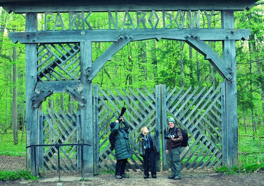 From Warsaw: Small-Group Tour to Bialowieza National Park - Who should choose this tour
