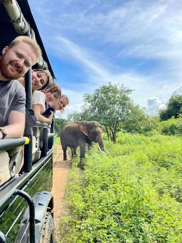 From Weligama : Udawalawa National Park Safari Tour - Should you book it?