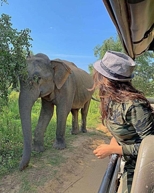 From Weligama : Udawalawa National Park Safari Tour - What a park sighting is really like