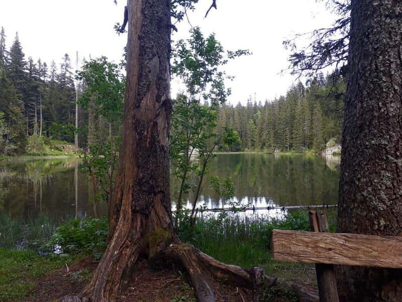 From Žabljak: Durmitor National Park Private Hiking Tour - Key points to know before you book