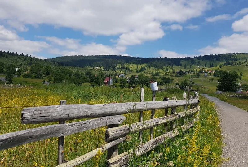 From Žabljak: Durmitor National Park Private Hiking Tour - The quieter third lake and the forest paths