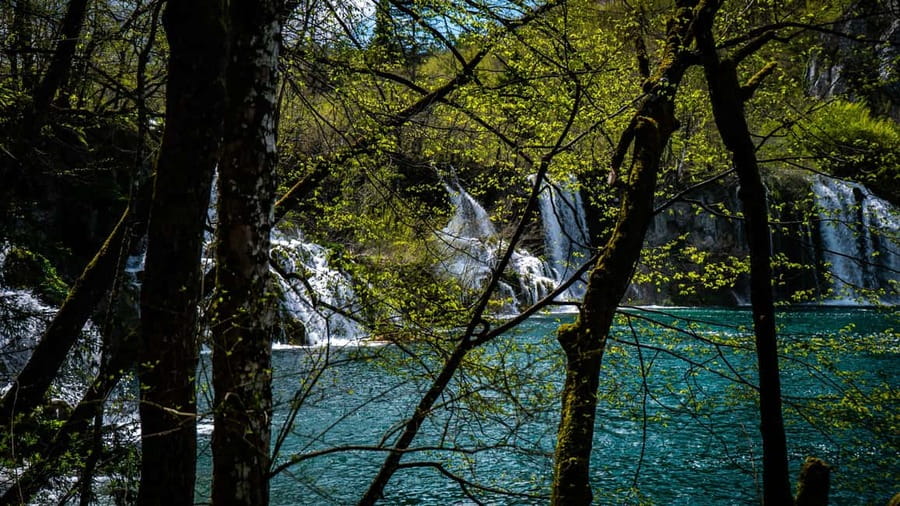 From Zagreb: Plitvice Lakes National Park Full-Day Tour - Timing, Group Size, and the Real Pace