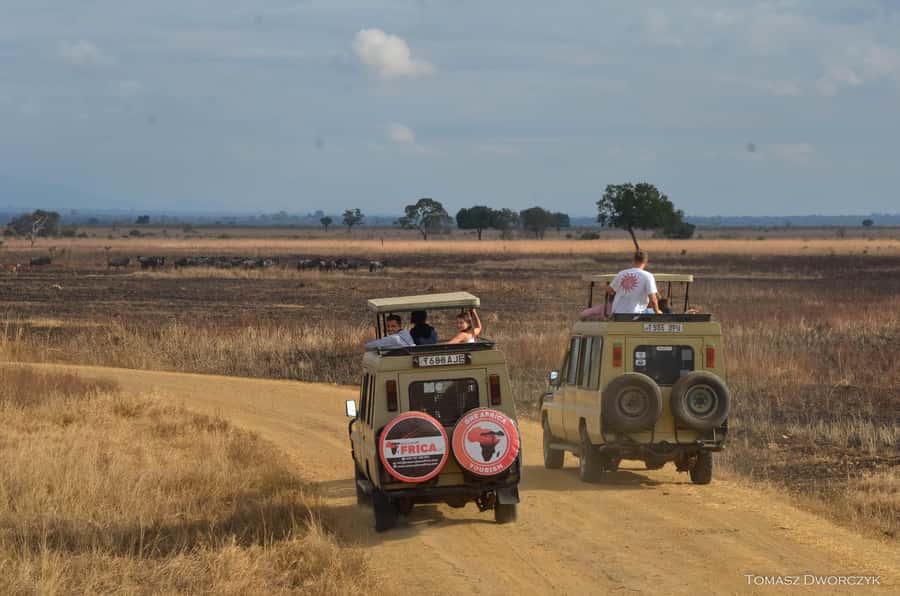 From Zanzibar: day Safari to Mikumi National Park - From Zanzibar beach to Mikumi bush